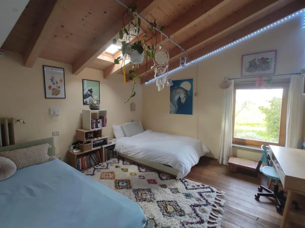 La Stellata Casale Toscano Con Piscina Tuscan Farmhouse With Swimming Pool Manciano