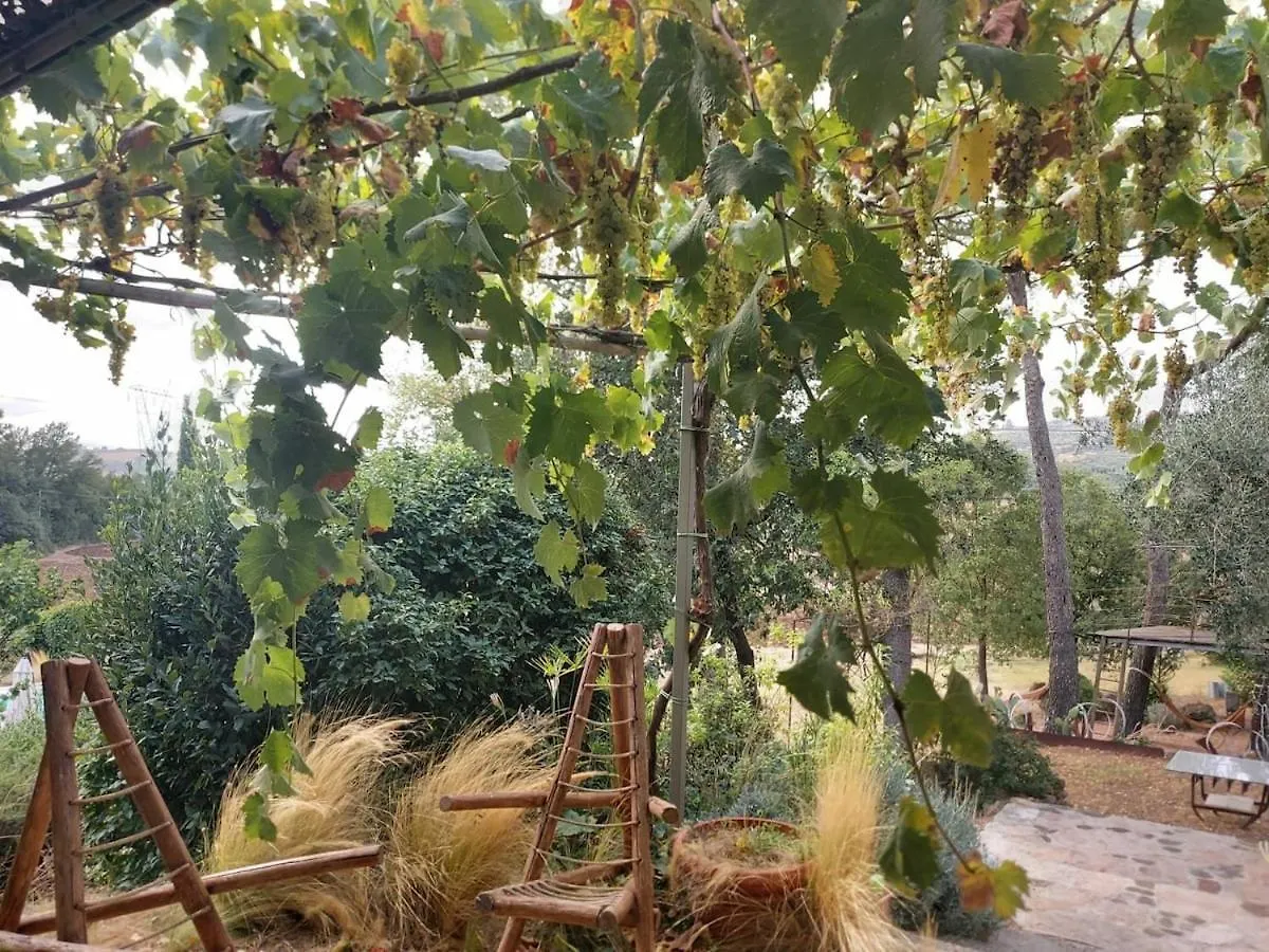 La Stellata Casale Toscano Con Piscina Tuscan Farmhouse With Swimming Pool Manciano Villa
